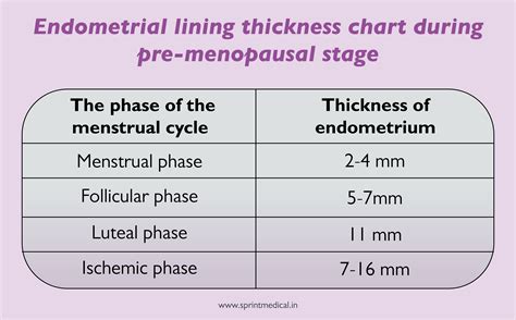 measurements normal endometrial thickness|endometrial thickness when to refer.